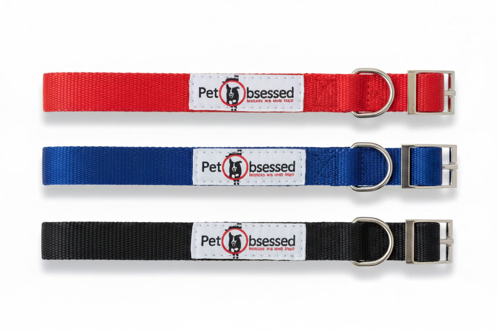 Pet Obsessed - 3-Pack Mixed Coloured Dog Collars (Sizes: Small, Medium, Large)